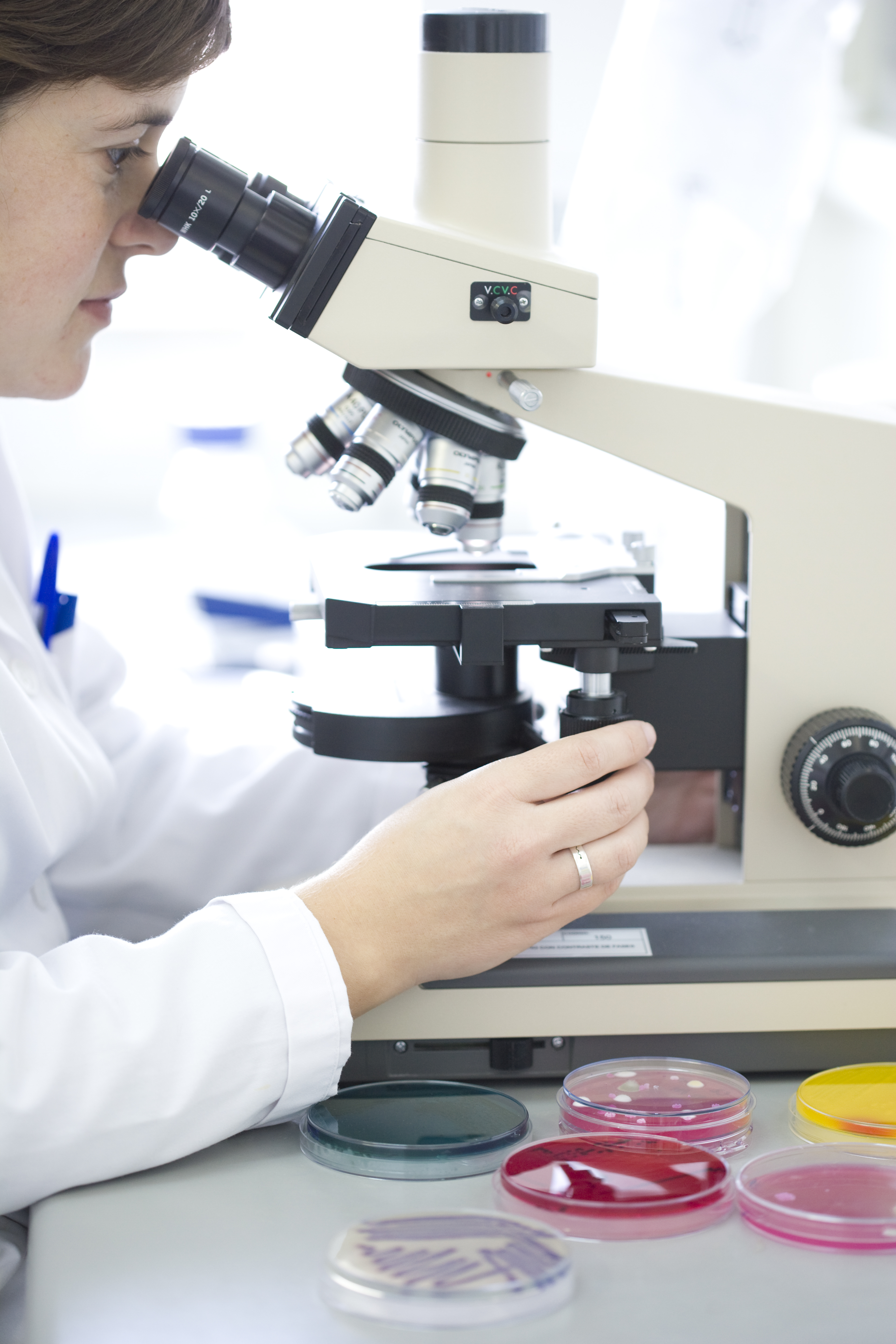 Analisis en laboratorio